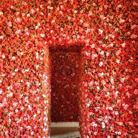 flower wall dior|dior maison catalog.